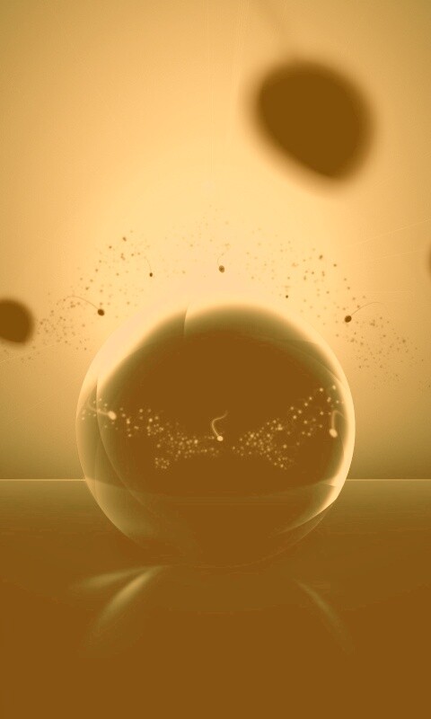 Оплодотворение обои