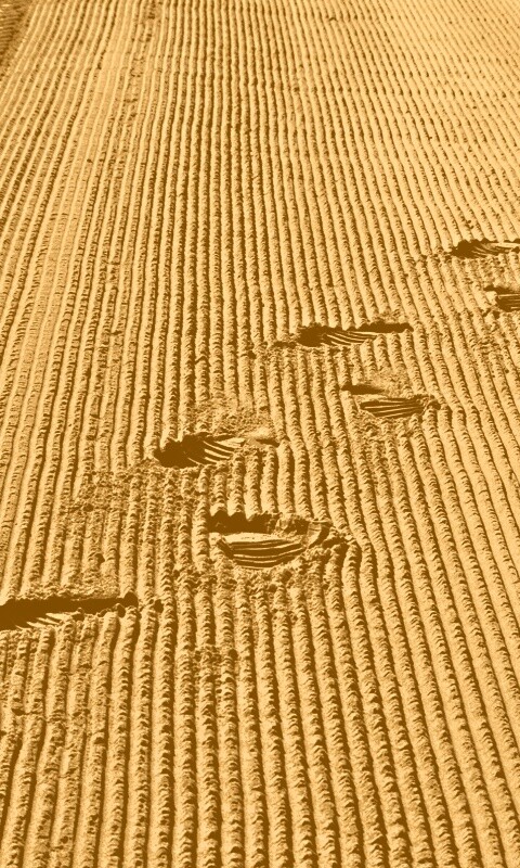 Следы на песке обои