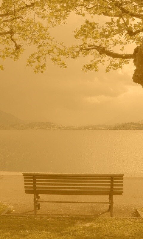 Скамейка на берегу обои