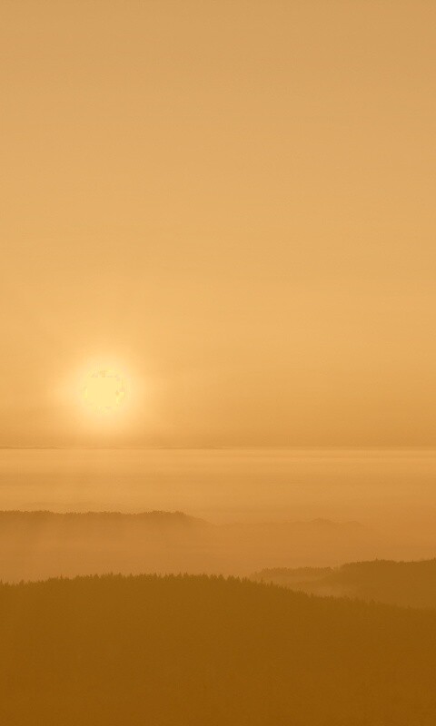 Восход солнца над лесом обои