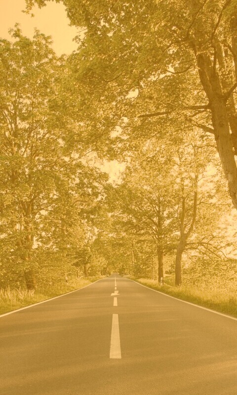 Прямая дорога обои