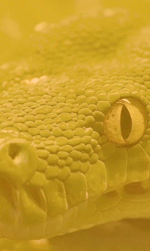 Страшно красивая обои