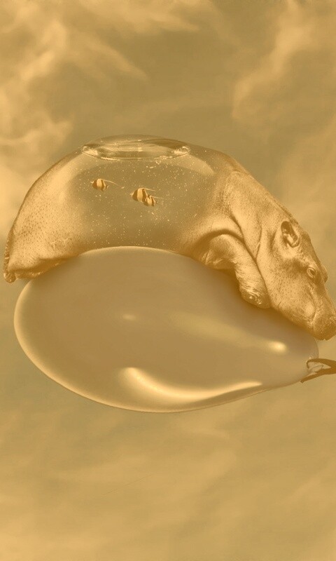 Водяной гиппопотам на шарике обои