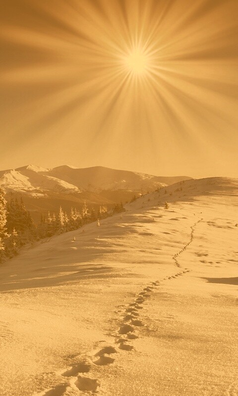 Холодные лучи зимнего солнца обои