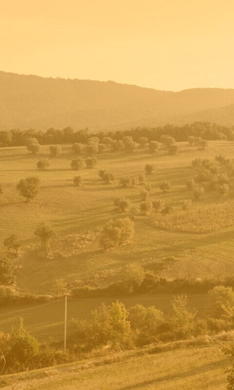 Ферма в долине обои