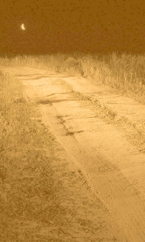 Ночная дорога обои