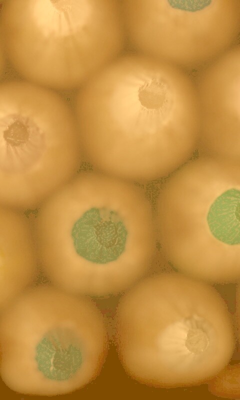 Карандаши обои