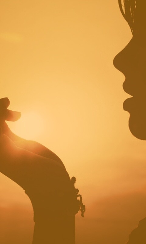 Солнце в ладони обои