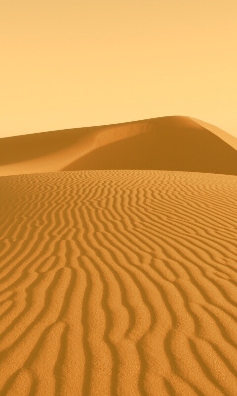 Красные барханы пустыни обои