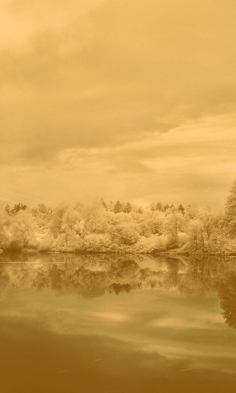 Зимний пейзаж обои