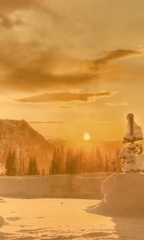 Зимнее солнце обои