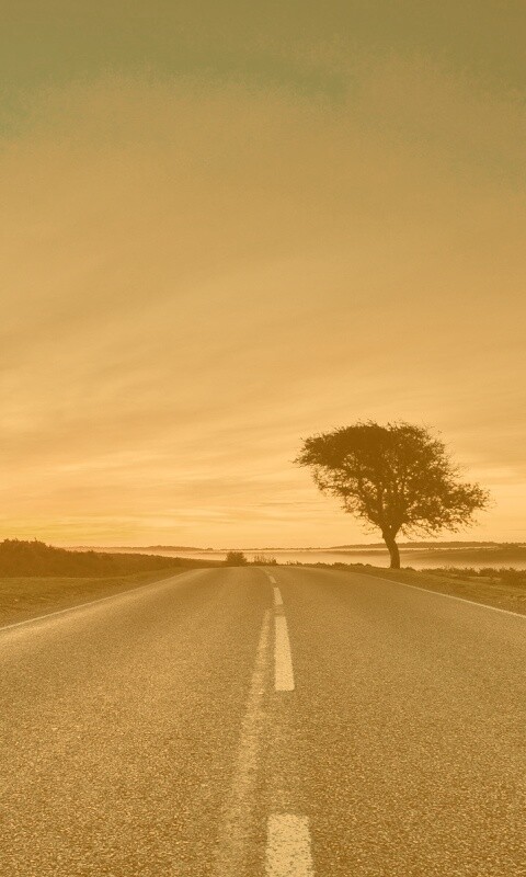 Дорога обои