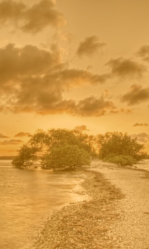 Побережье на закате обои