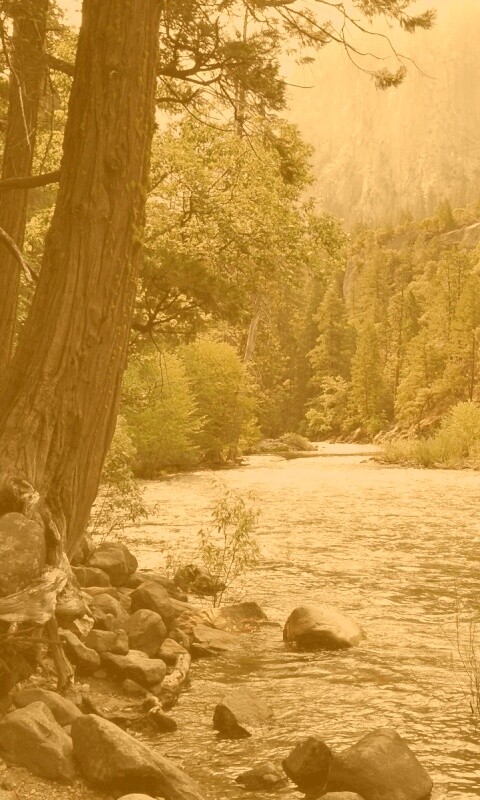 Национальный заповедник обои