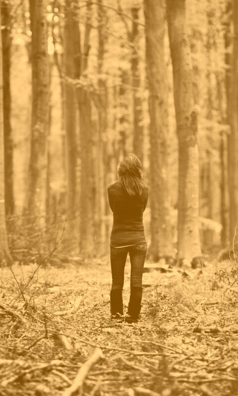 Одна в лесу обои