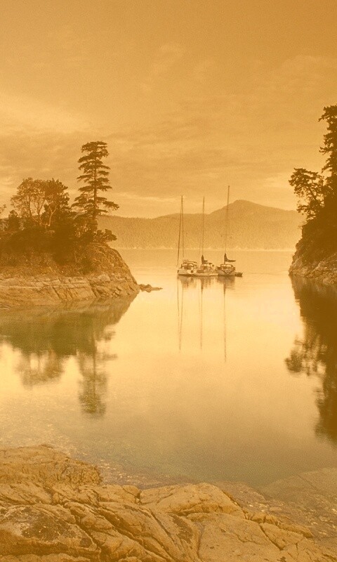 Яхты в заливе обои