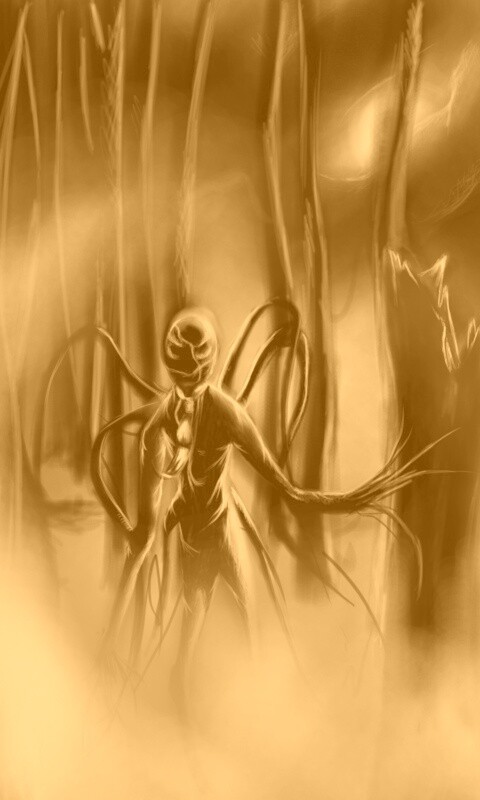 Тонкий человек обои