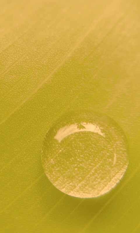 Одна капля обои