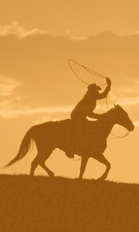 Силуэт ковбоя на закате обои