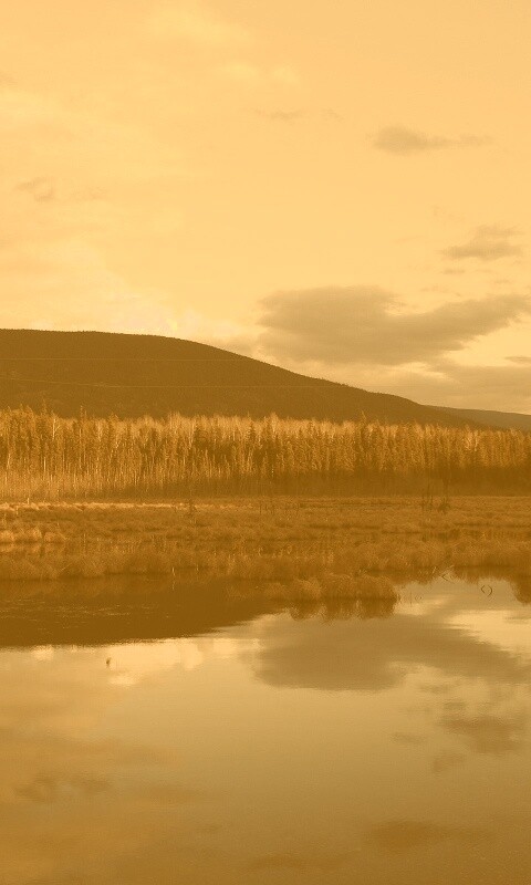 Осеннее озеро обои