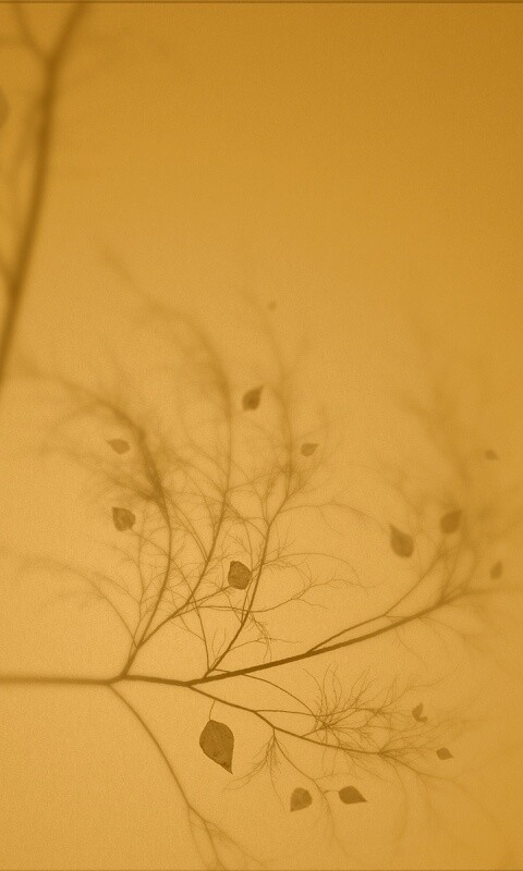 Это осень обои