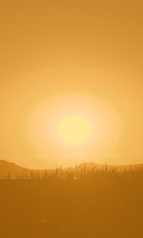 Сельский закат обои