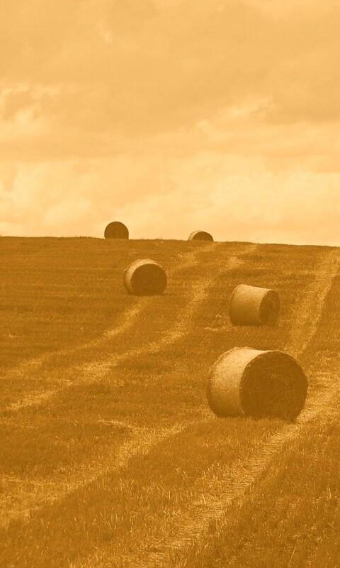 Уборка сена с поля обои
