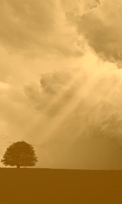 Избранный обои