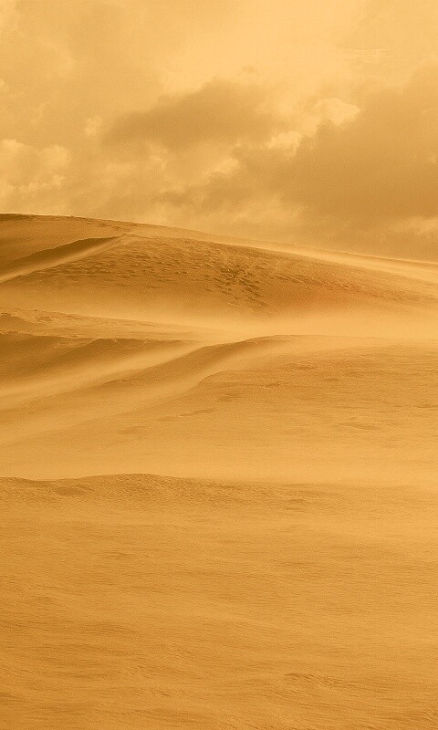 Далекая пустыня обои