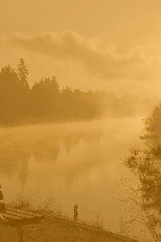 Туманное озеро обои