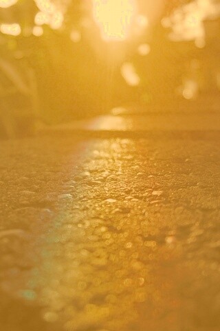 Макро радуга на камне обои