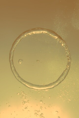 Кольцо из воды обои