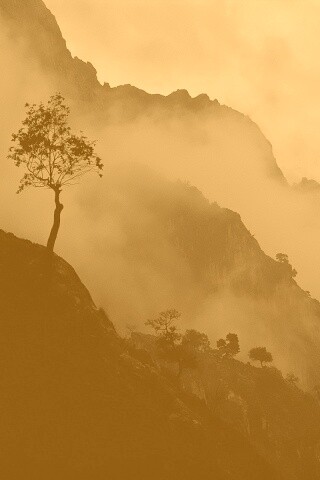 Сумерик в горах обои