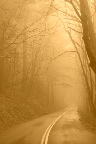 В туман обои