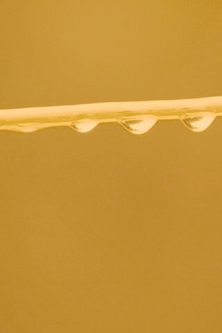 Капли на соломинке обои