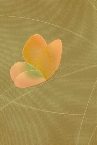 Бабочка с радужными крыльями обои