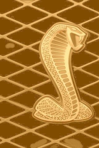 Логотипа Форда Шелби обои