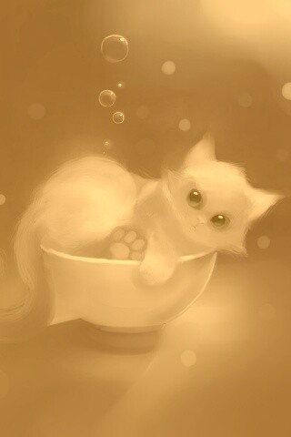 Котёнок в миске обои