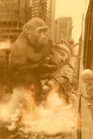 Обезьяна терроизирует Нью-Йорк обои