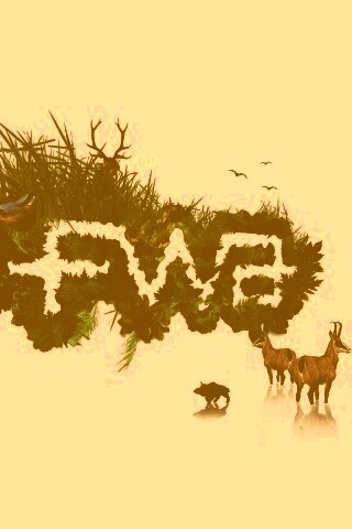 FWA обои