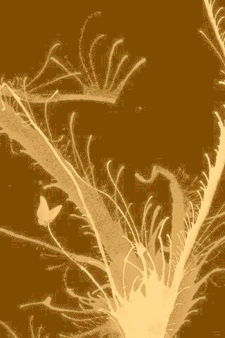 Абстракция из брызг обои