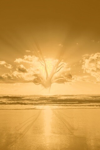 Абстрактные перья на фоне заката обои