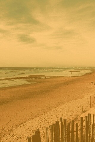 Обмелевший берег обои