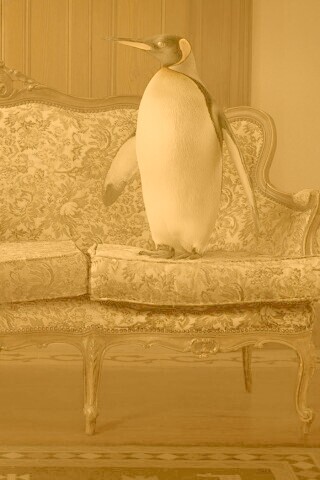 Соседи по дивану обои