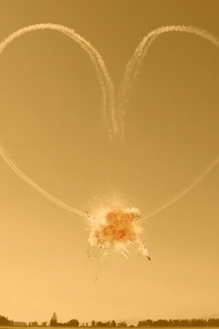 Цветы были бы лучшей идеей обои