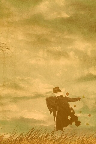 Забытое пугало обои