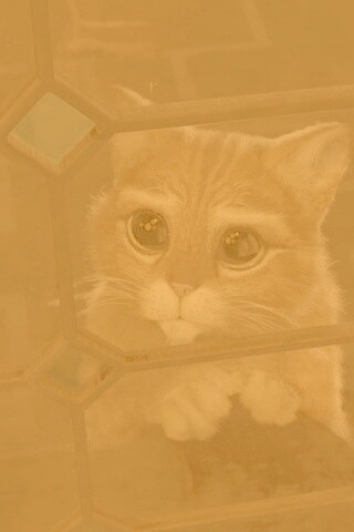 Кот в сапогах обои