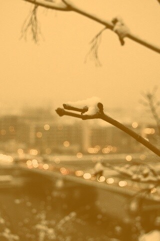 Зима в городе обои