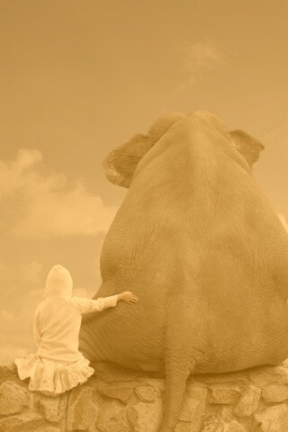 Девочка и слон обои