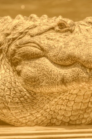 Синий крокодил обои